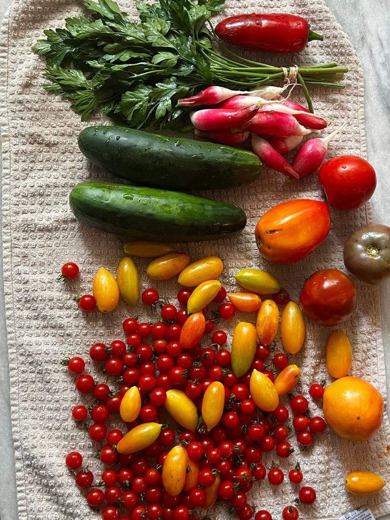 Heart’s Harvest: Autumn Equinox Yoga Ceremony